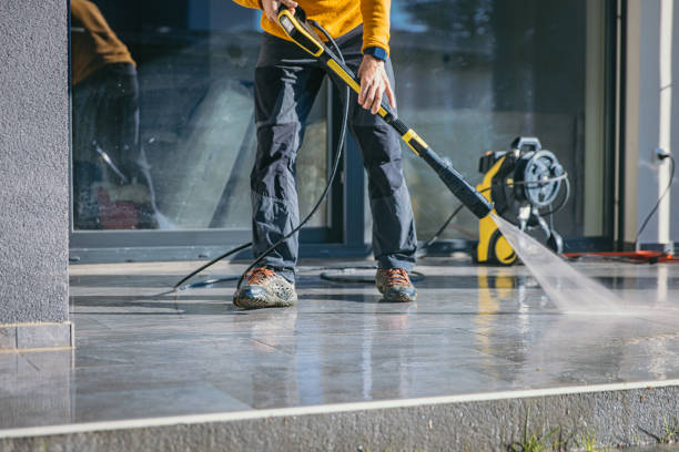 Animal Enclosure Cleaning in Caledonia, MS